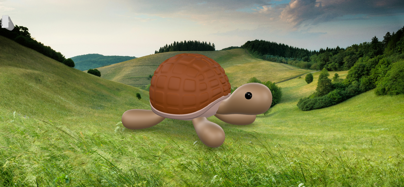 Tortuga