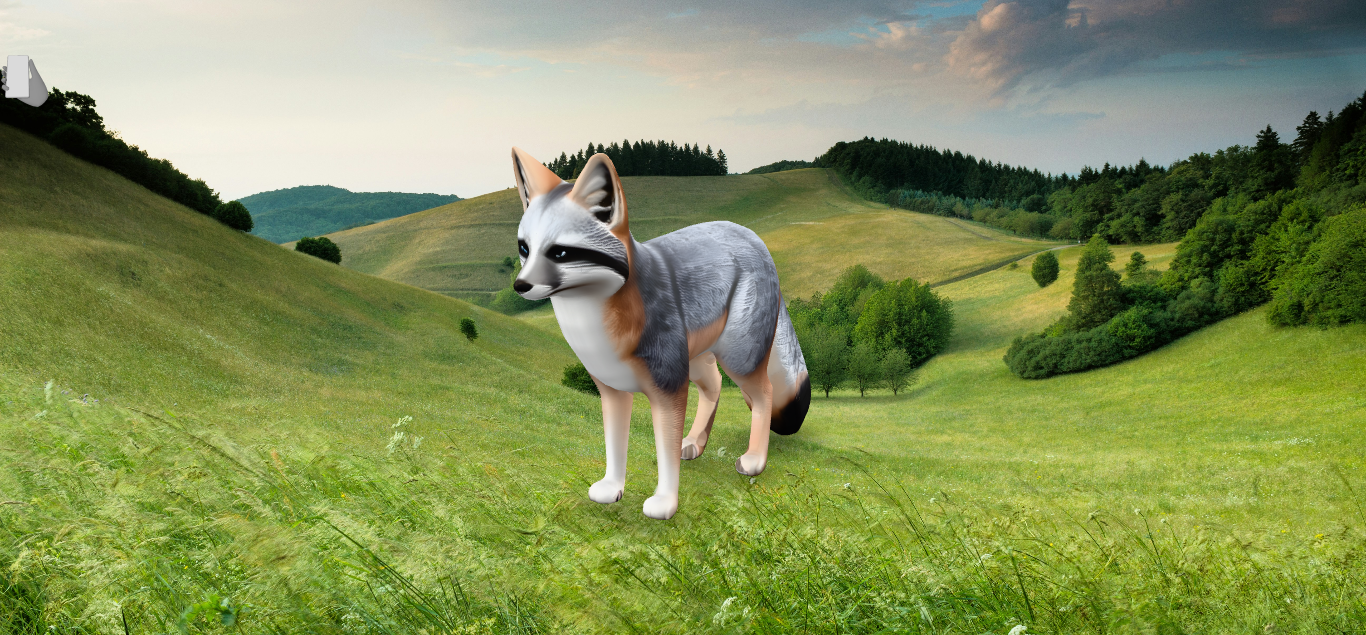 Zorro Gris
